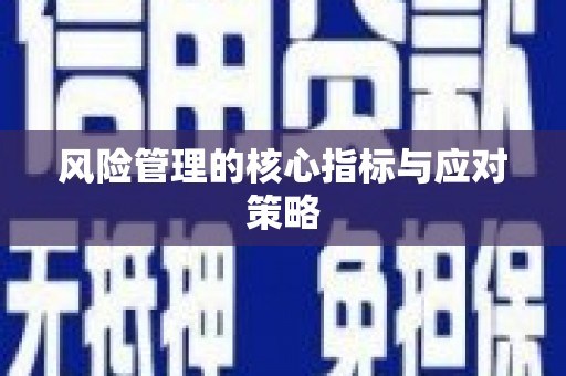 张湾风险管理的核心指标与应对策略