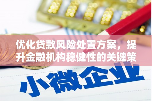 张湾优化贷款风险处置方案，提升金融机构稳健性的关键策略