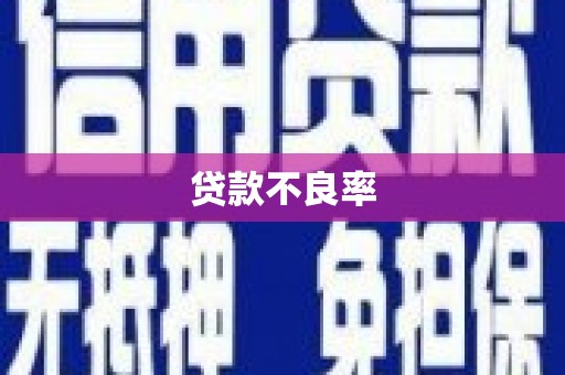 张湾贷款不良率
