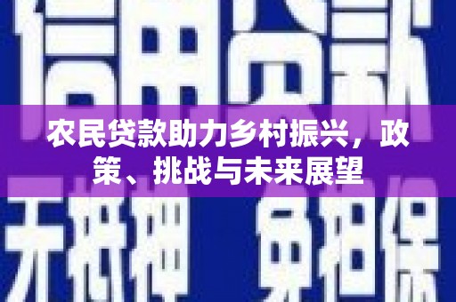 张湾农民贷款助力乡村振兴，政策、挑战与未来展望