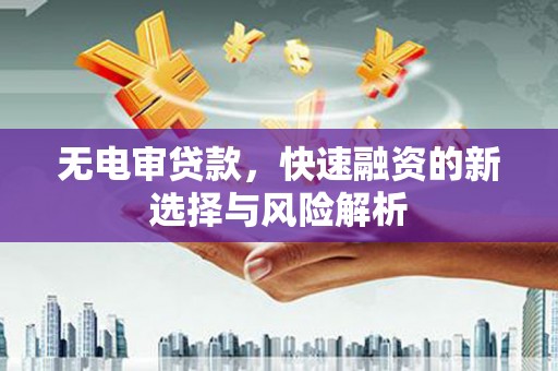 张湾无电审贷款，快速融资的新选择与风险解析