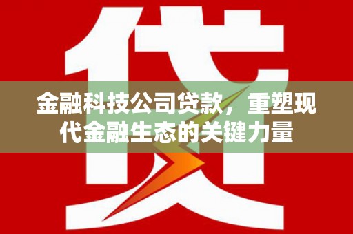 张湾金融科技公司贷款，重塑现代金融生态的关键力量