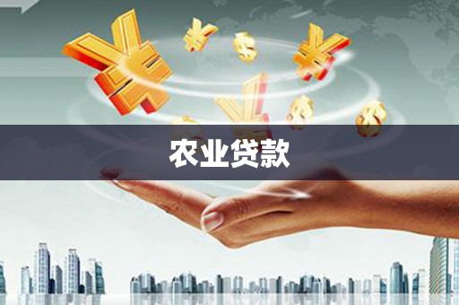 张湾农业贷款