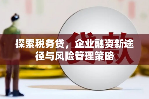 张湾探索税务贷，企业融资新途径与风险管理策略