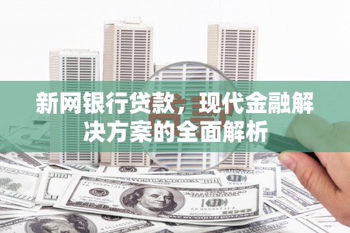 张湾新网银行贷款，现代金融解决方案的全面解析
