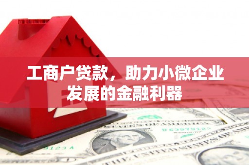 张湾工商户贷款，助力小微企业发展的金融利器