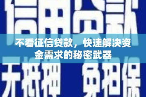 张湾不看征信贷款，快速解决资金需求的秘密武器
