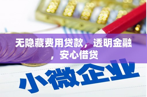 张湾无隐藏费用贷款，透明金融，安心借贷