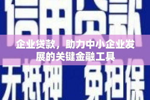 张湾企业贷款，助力中小企业发展的关键金融工具