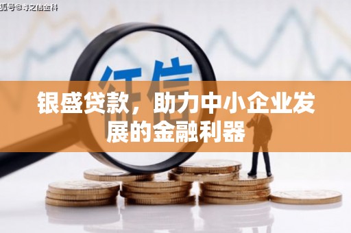 张湾银盛贷款，助力中小企业发展的金融利器