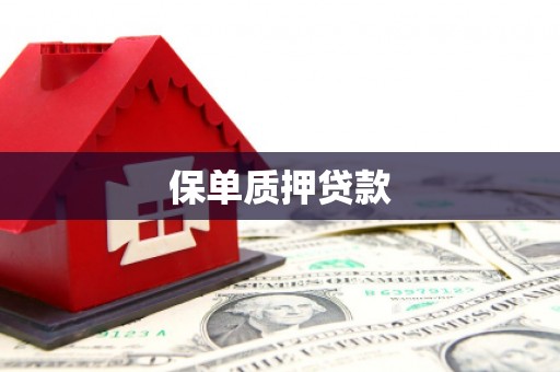 张湾保单质押贷款