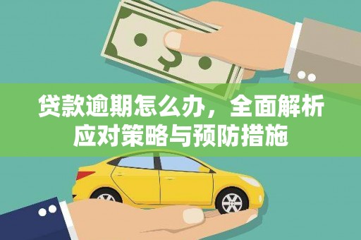 张湾贷款逾期怎么办，全面解析应对策略与预防措施