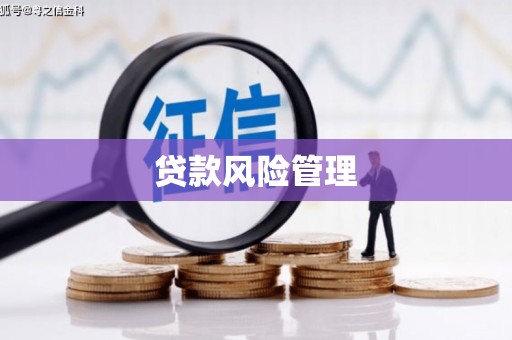 张湾贷款风险管理