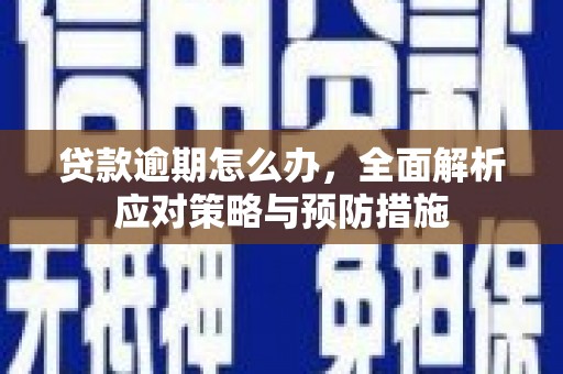 张湾贷款逾期怎么办，全面解析应对策略与预防措施