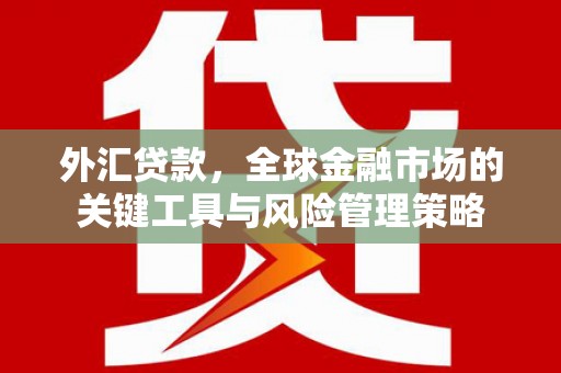 张湾外汇贷款，全球金融市场的关键工具与风险管理策略