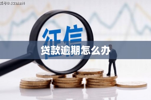 张湾贷款逾期怎么办