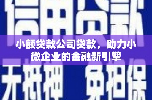张湾小额贷款公司贷款，助力小微企业的金融新引擎
