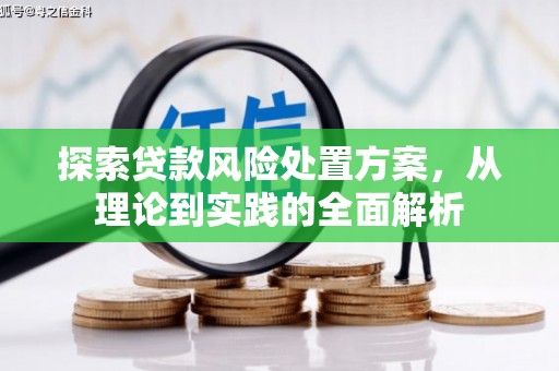 张湾探索贷款风险处置方案，从理论到实践的全面解析