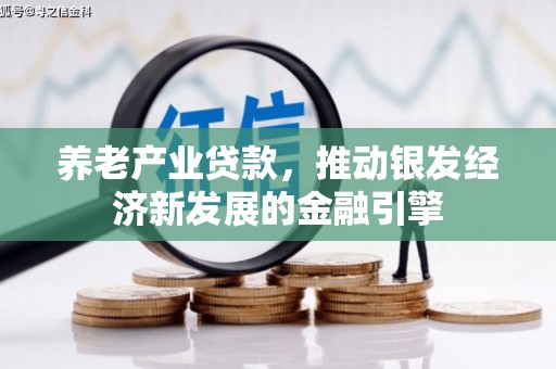 张湾养老产业贷款，推动银发经济新发展的金融引擎