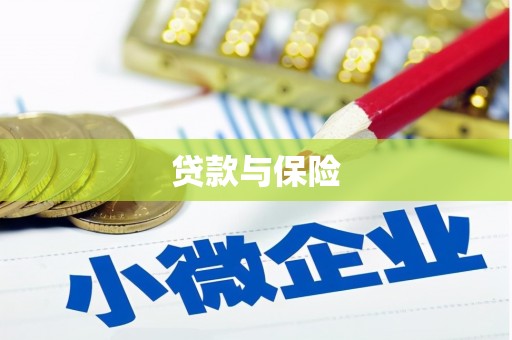 张湾贷款与保险