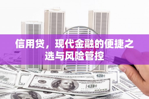 张湾信用贷，现代金融的便捷之选与风险管控