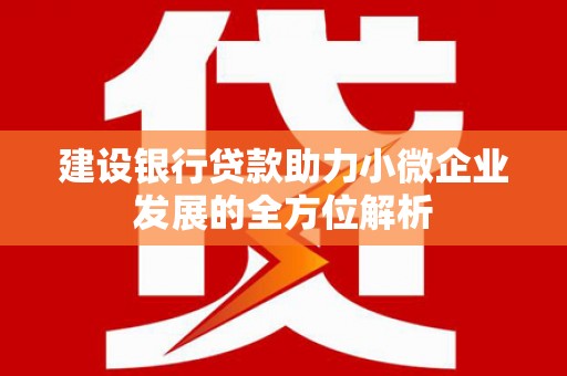 张湾建设银行贷款助力小微企业发展的全方位解析