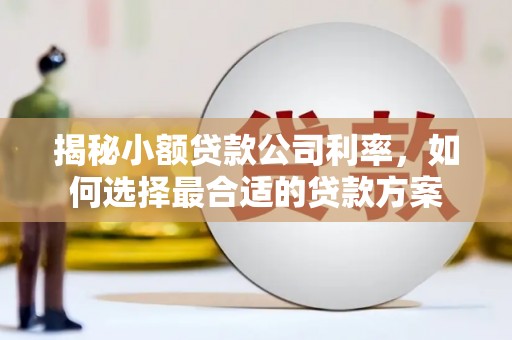 张湾揭秘小额贷款公司利率，如何选择最合适的贷款方案