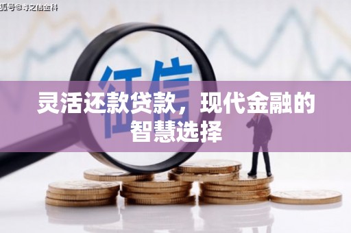 张湾灵活还款贷款，现代金融的智慧选择