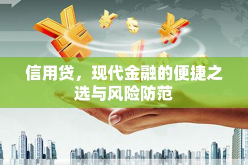 张湾信用贷，现代金融的便捷之选与风险防范