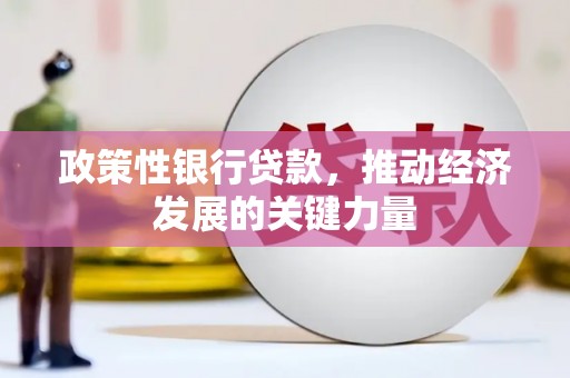 张湾政策性银行贷款，推动经济发展的关键力量