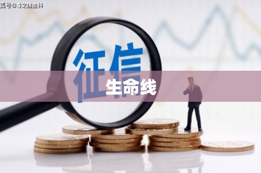 张湾生命线