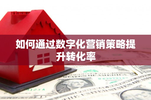 张湾如何通过数字化营销策略提升转化率