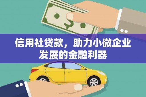 张湾信用社贷款，助力小微企业发展的金融利器