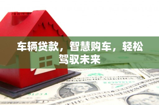 张湾车辆贷款，智慧购车，轻松驾驭未来