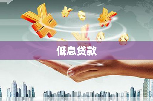 张湾低息贷款
