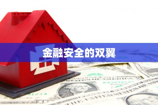 张湾金融安全的双翼