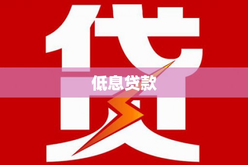 张湾低息贷款