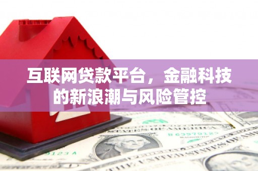 张湾互联网贷款平台，金融科技的新浪潮与风险管控