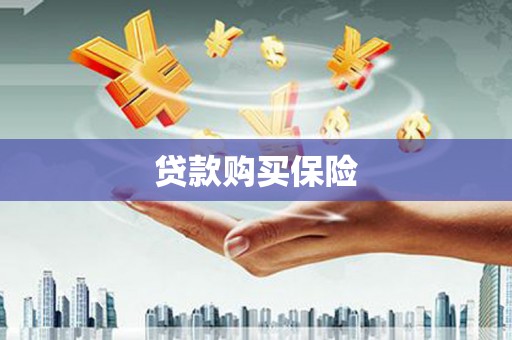 张湾贷款购买保险