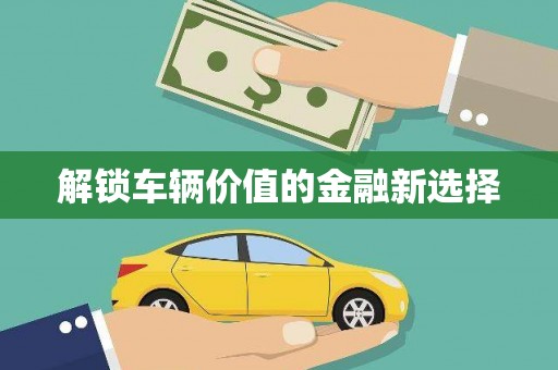 张湾解锁车辆价值的金融新选择