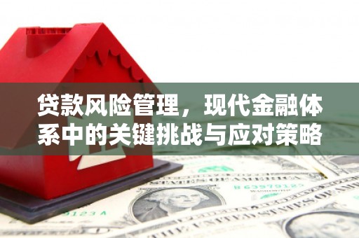张湾贷款风险管理，现代金融体系中的关键挑战与应对策略