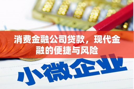 张湾消费金融公司贷款，现代金融的便捷与风险