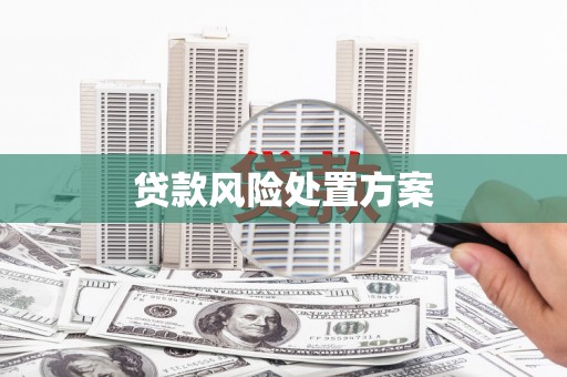 张湾贷款风险处置方案