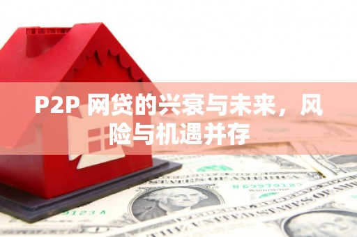 张湾P2P 网贷的兴衰与未来，风险与机遇并存