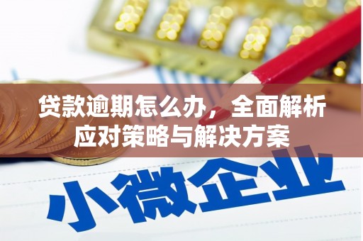 张湾贷款逾期怎么办，全面解析应对策略与解决方案