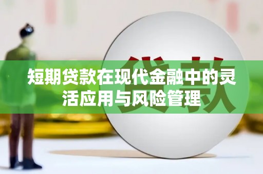 张湾短期贷款在现代金融中的灵活应用与风险管理