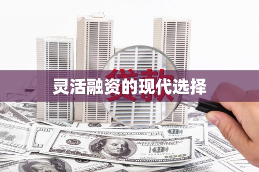 张湾灵活融资的现代选择