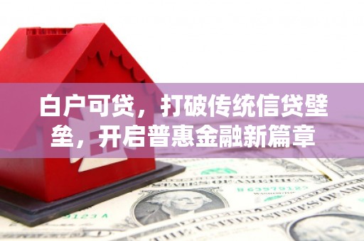 张湾白户可贷，打破传统信贷壁垒，开启普惠金融新篇章