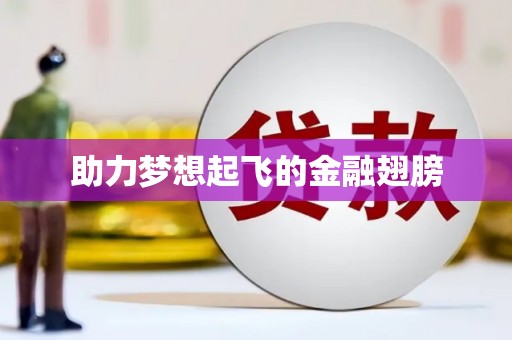张湾助力梦想起飞的金融翅膀