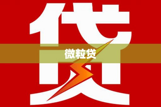 张湾微粒贷